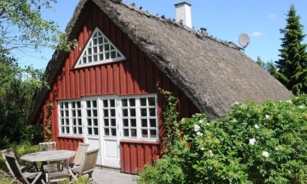 'Kalv' - 75m from the sea