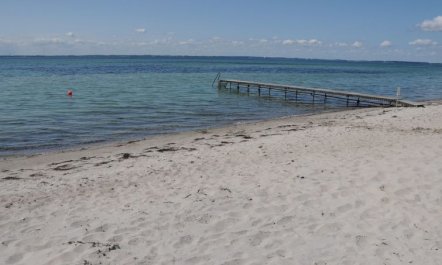 'Kalv' - 75m from the sea 7