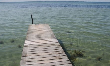 'Kalv' - 75m from the sea 6