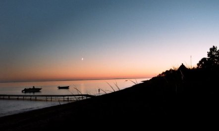 'Kalv' - 75m from the sea 4