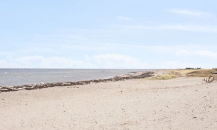 'Akira' - 250m from the sea 2