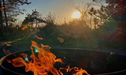 'Henrik' - 100m from the sea 4