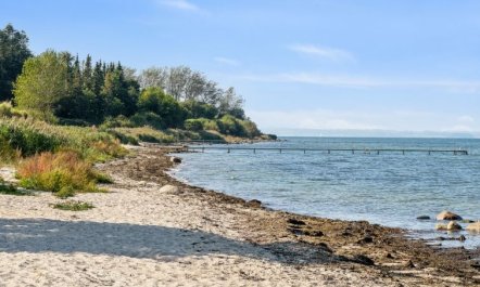 'Todor' - 150m from the sea 3