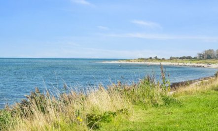 'Todor' - 150m from the sea 2