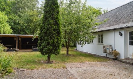 'Finja' - 6km from the sea 3