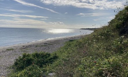 'Malte' - 75m from the sea 7