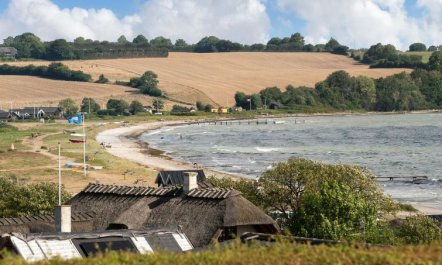 'Beowulf' - 200m from the sea 1