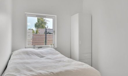 'Fentje' - 375m to the fjord 7