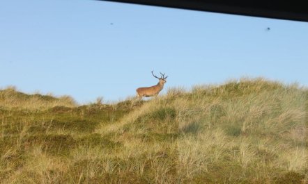 'Hristina' - 200m from the sea 6