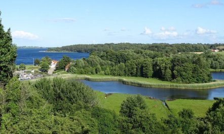 'Veselin' - 100m from the sea 7