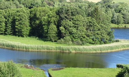 'Veselin' - 100m from the sea 6