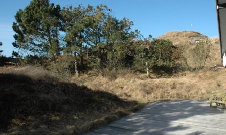 'Alin' - 600m from the sea 2