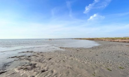 'Hjalmine' - 1.4km from the sea 2