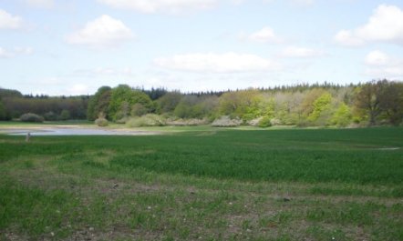 'Thia' - 4km to the fjord 7