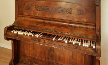 'Thia' - 4km to the fjord 2