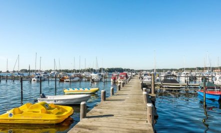 'Hardine' - 100m to the fjord 7