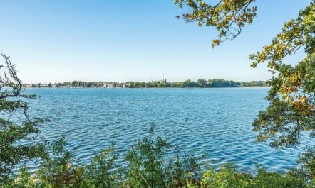 'Hardine' - 100m to the fjord 6