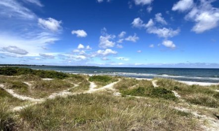 'Sune' - 175m from the sea 4