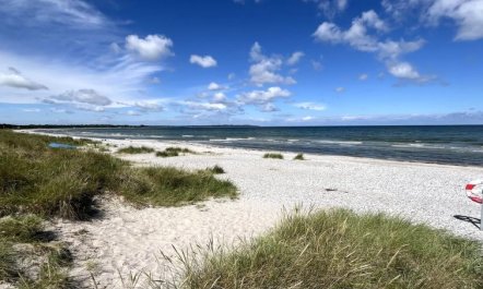 'Sune' - 175m from the sea 3