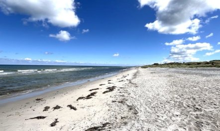 'Sune' - 175m from the sea 2