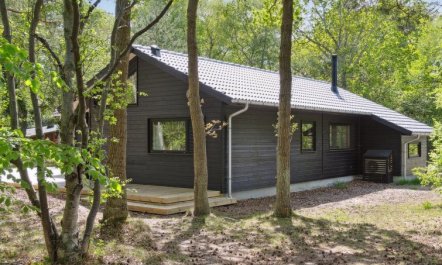 'Miljanka' - 175m from the sea 5