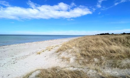 'Miljanka' - 175m from the sea 4