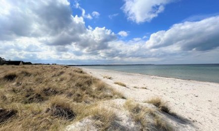 'Miljanka' - 175m from the sea 3