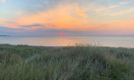 'Miljanka' - 175m from the sea 2