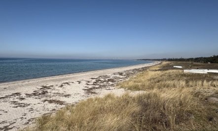 'Cita' - 350m from the sea 3