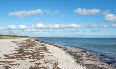 'Bergit' - 55m from the sea 3