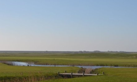 'Aappo' - 2.3km from the sea 4