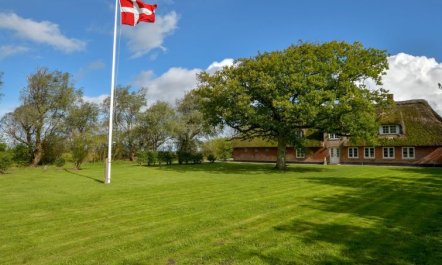 'Knut' - 10km from the sea