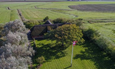 'Knut' - 10km from the sea 5