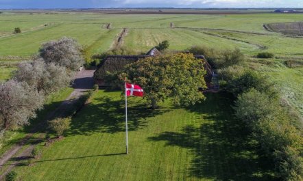 'Knut' - 10km from the sea 2