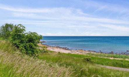 'Ayo' - 75m from the sea 6