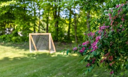 'Wilma' - 30km from the sea 7