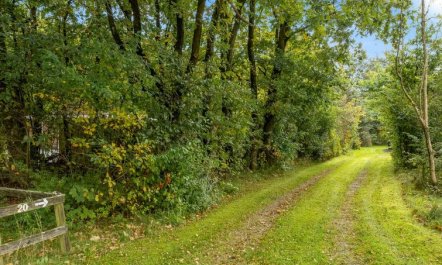 'Dimo' - 30km from the sea 2