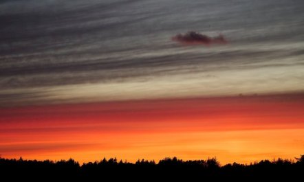 'Eda' - 3.5km from the sea 6