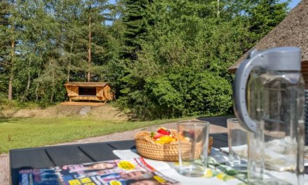 'Pauna' - 50m from the sea 7