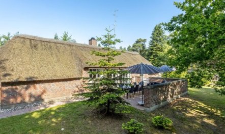 'Pauna' - 50m from the sea 4