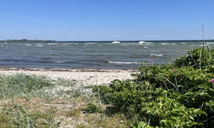 'Ely' - 300m from the sea 5