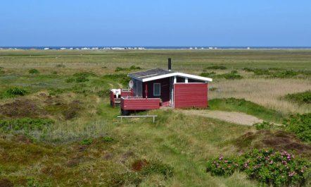 'Hermoth' - 300m from the sea