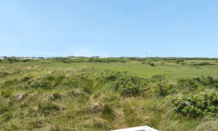 'Hermoth' - 300m from the sea 3