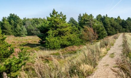 'Gabriela' - 1km from the sea 6