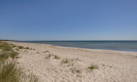 'Gjorgjija' - 50m from the sea 5