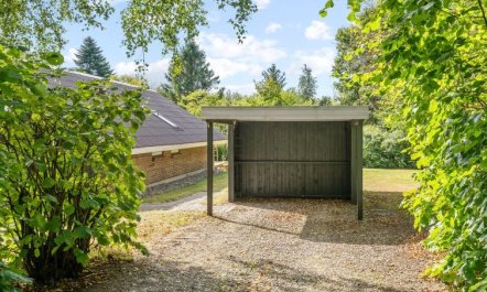 'Pance' - 20km to the fjord 4