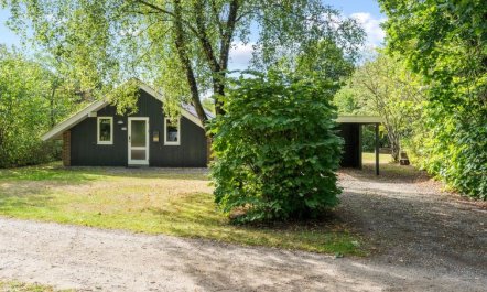 'Pance' - 20km to the fjord 3