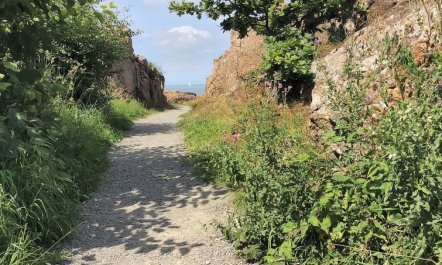 'Seba' - 500m from the sea 7