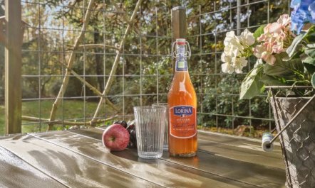 'Elisabeta' - 28km from the sea 3