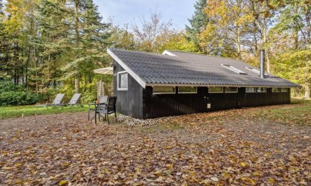 'Elisabeta' - 28km from the sea 2